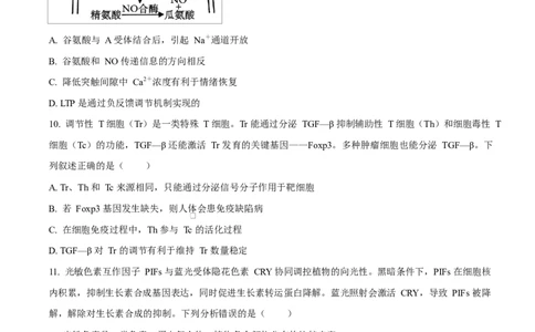 生物试题（原卷版）_2024-2026高三（6-6月题库）_2026年03月高三试卷_260323山东2026届九五协作体高三下学期3月学习质量评估（全科）