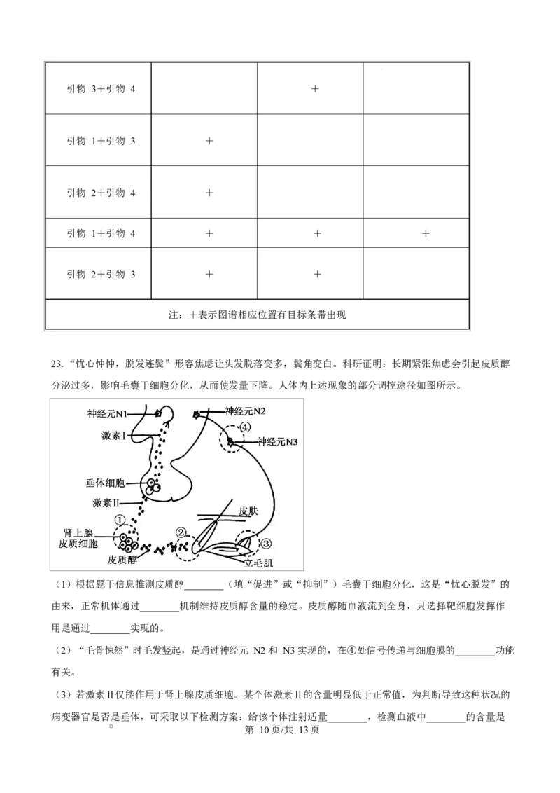 生物试题（原卷版）_2024-2026高三（6-6月题库）_2026年03月高三试卷_260323山东2026届九五协作体高三下学期3月学习质量评估（全科）