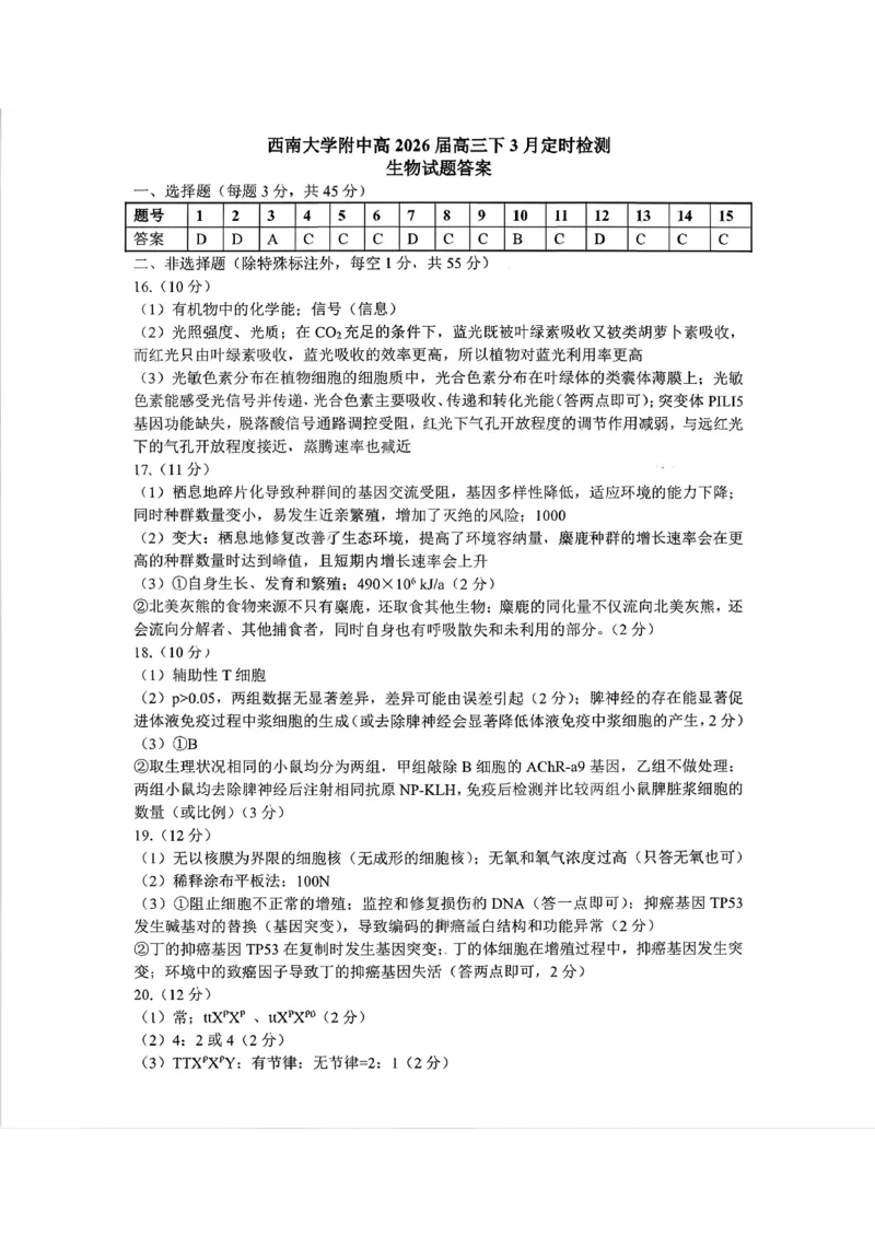 扫描件_西南大学附中高2026届高三下3月定时检_2024-2026高三（6-6月题库）_2026年03月高三试卷_260304西南大学附属中学校2025-2026学年高三下学期开学