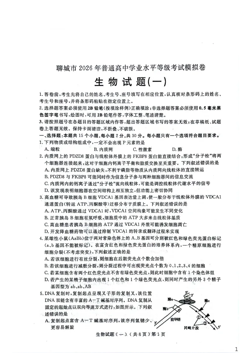 聊城市2026年普通高中学业水平等级考试模拟卷生物_2024-2026高三（6-6月题库）_2026年03月高三试卷_260313山东省聊城市2026年普通高中学业水平等级考试模拟卷（聊城一模）（全科）
