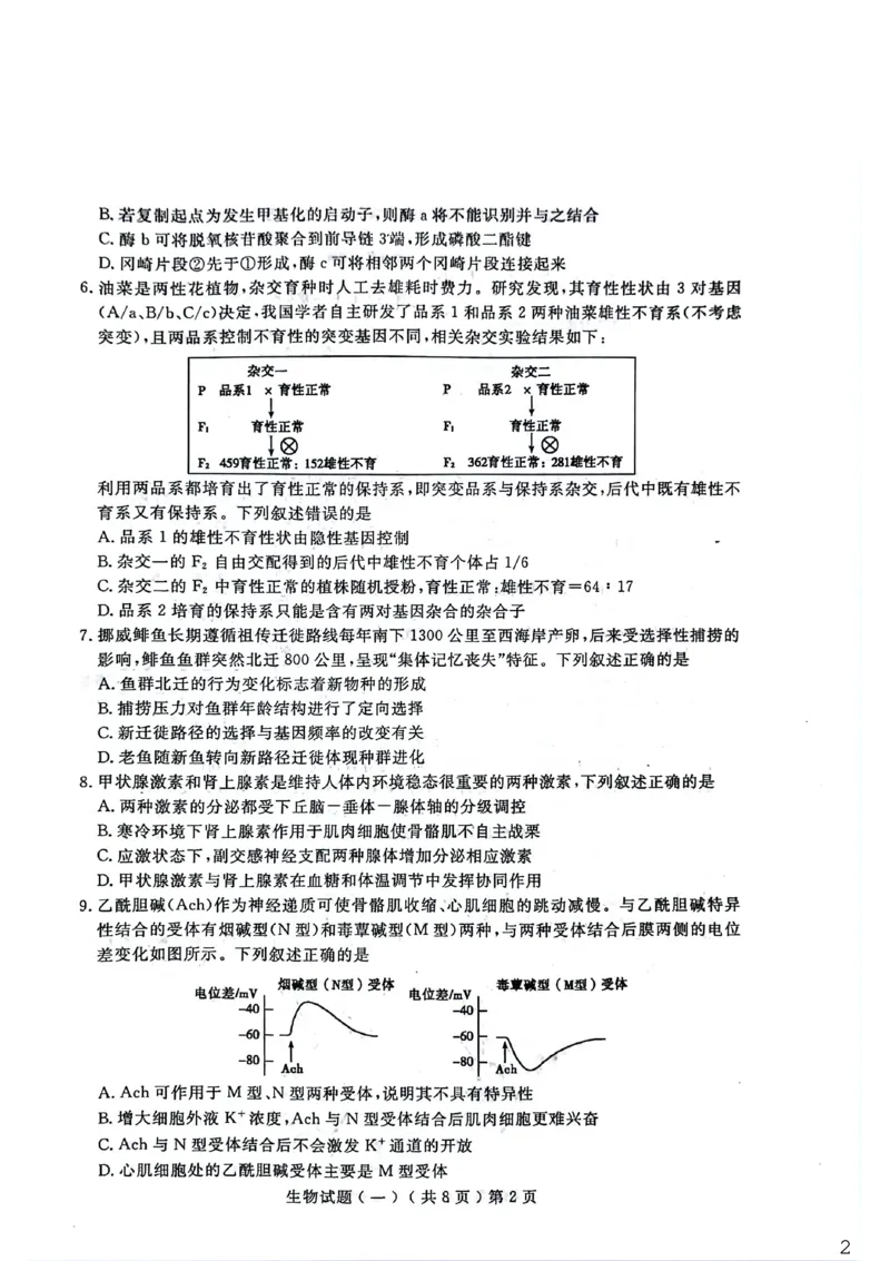 聊城市2026年普通高中学业水平等级考试模拟卷生物_2024-2026高三（6-6月题库）_2026年03月高三试卷_260313山东省聊城市2026年普通高中学业水平等级考试模拟卷（聊城一模）（全科）