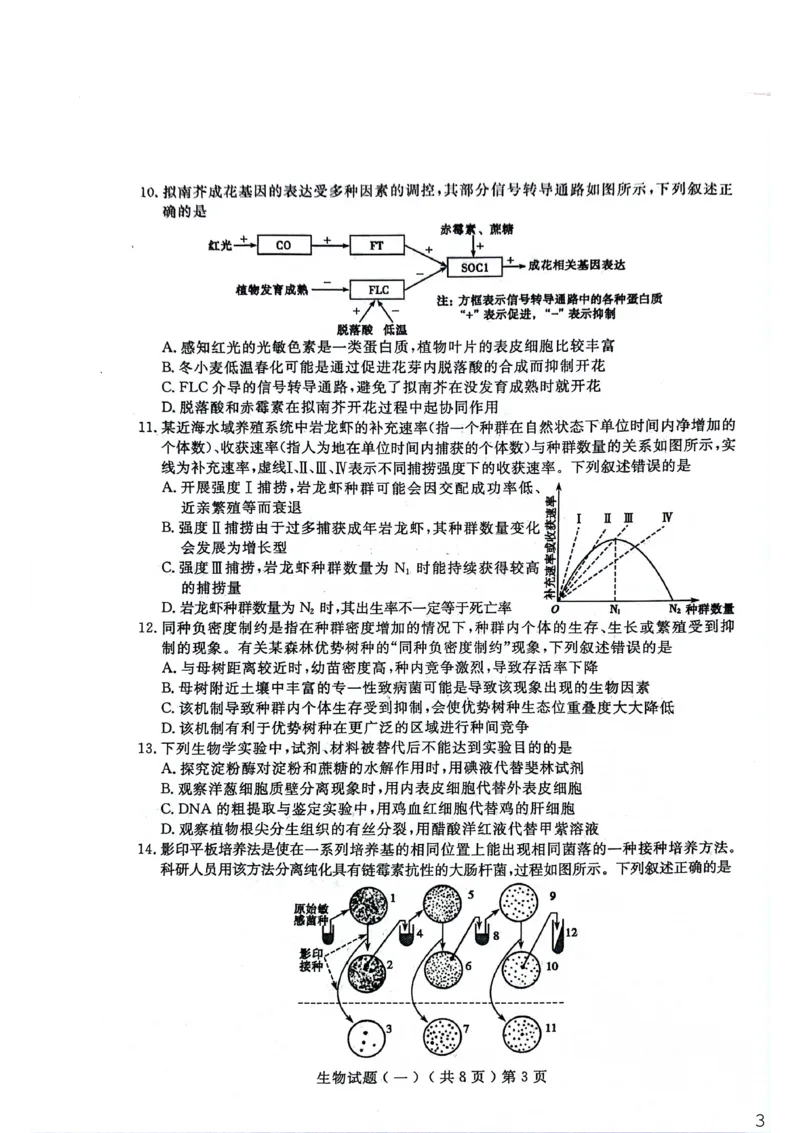 聊城市2026年普通高中学业水平等级考试模拟卷生物_2024-2026高三（6-6月题库）_2026年03月高三试卷_260313山东省聊城市2026年普通高中学业水平等级考试模拟卷（聊城一模）（全科）