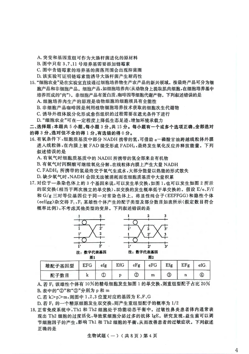 聊城市2026年普通高中学业水平等级考试模拟卷生物_2024-2026高三（6-6月题库）_2026年03月高三试卷_260313山东省聊城市2026年普通高中学业水平等级考试模拟卷（聊城一模）（全科）
