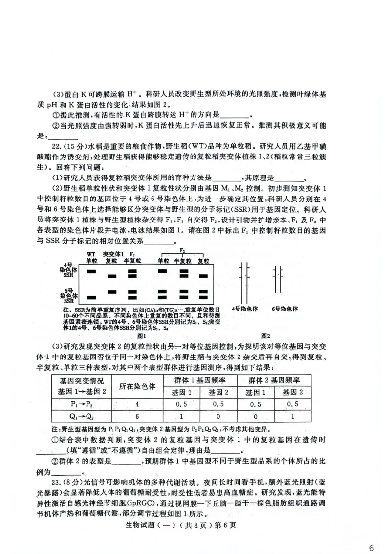 聊城市2026年普通高中学业水平等级考试模拟卷生物_2024-2026高三（6-6月题库）_2026年03月高三试卷_260313山东省聊城市2026年普通高中学业水平等级考试模拟卷（聊城一模）（全科）