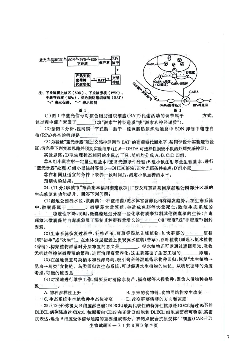 聊城市2026年普通高中学业水平等级考试模拟卷生物_2024-2026高三（6-6月题库）_2026年03月高三试卷_260313山东省聊城市2026年普通高中学业水平等级考试模拟卷（聊城一模）（全科）