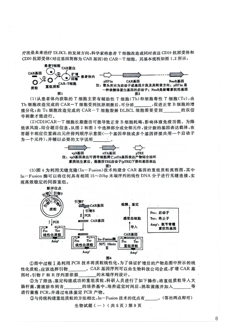 聊城市2026年普通高中学业水平等级考试模拟卷生物_2024-2026高三（6-6月题库）_2026年03月高三试卷_260313山东省聊城市2026年普通高中学业水平等级考试模拟卷（聊城一模）（全科）