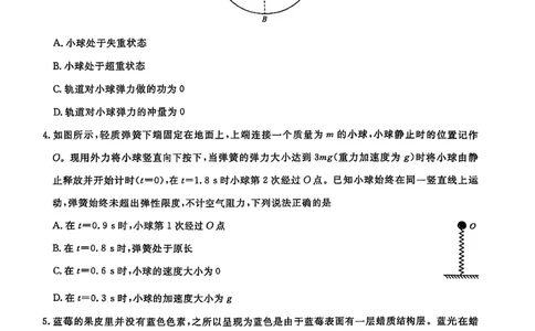 辽宁省名校联盟2026届高三下学期高考模拟卷（信息卷）（一）物理试卷（含答案）_2024-2026高三（6-6月题库）_2026年04月高三试卷