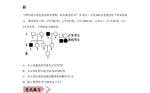 易错点09遗传与人类健康-2021年高考生物一轮复习易错题（学生版）_新高考复习资料_2023年新高考复习资料_一轮复习_2023年新高考大一轮复习讲义_赠2021年高考生物一轮复习易错题