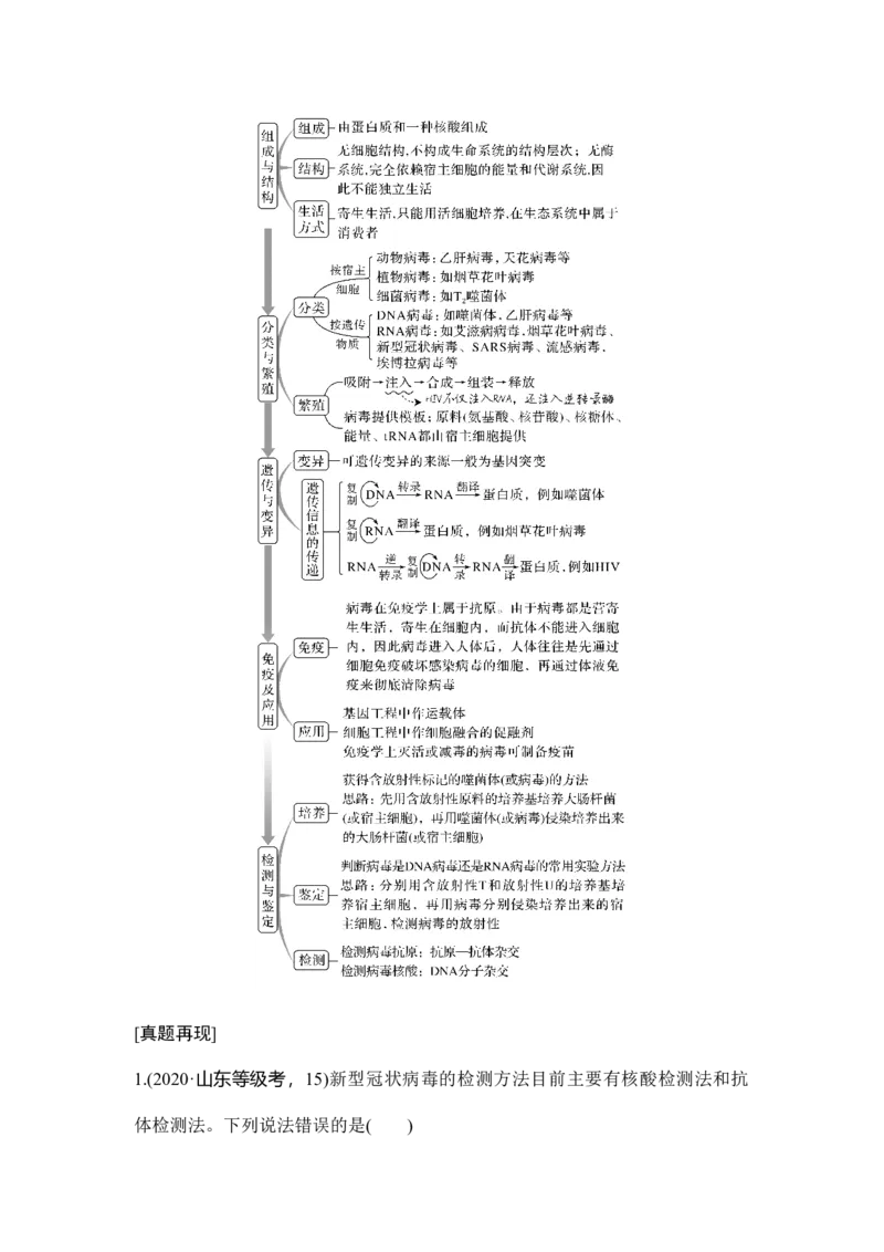 微专题17病毒全盘点_通用版（老高考）复习资料_2023年复习资料_一轮复习_2023年高考生物一轮复习讲义+课件（全国版）_2023年高考生物一轮复习讲义（全国版）_赠补充习题