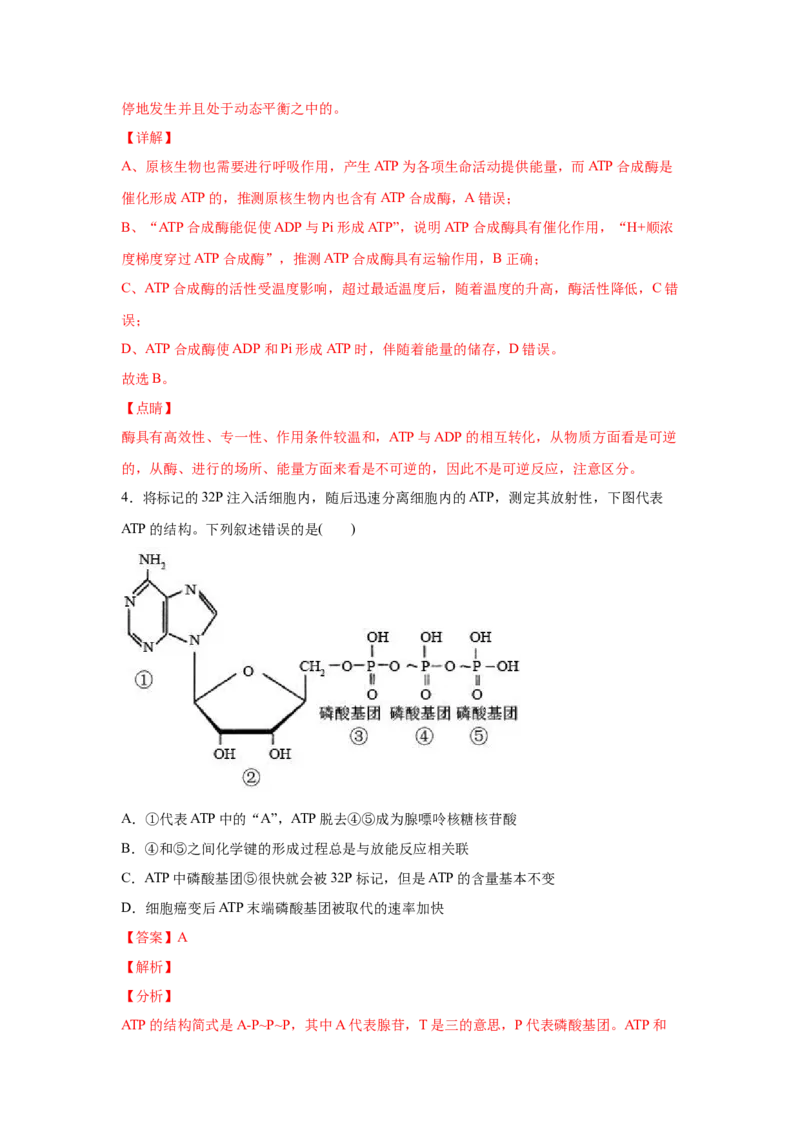 易错点03细胞的代谢1（酶、ATP、渗透实验）-2021年高考生物一轮复习易错题（教师版含解析）_新高考复习资料_2023年新高考复习资料_一轮复习_2023年新高考大一轮复习讲义