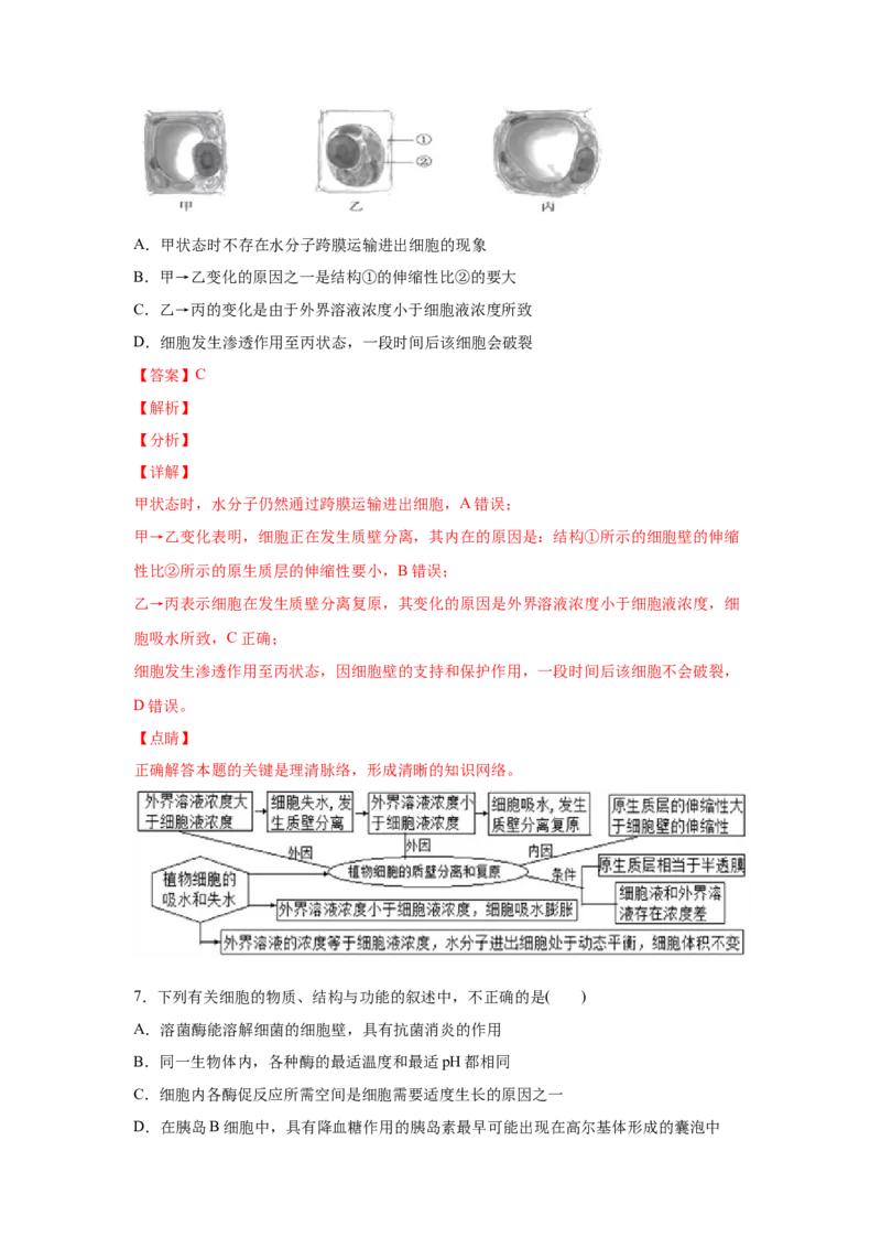 易错点03细胞的代谢1（酶、ATP、渗透实验）-2021年高考生物一轮复习易错题（教师版含解析）_新高考复习资料_2023年新高考复习资料_一轮复习_2023年新高考大一轮复习讲义