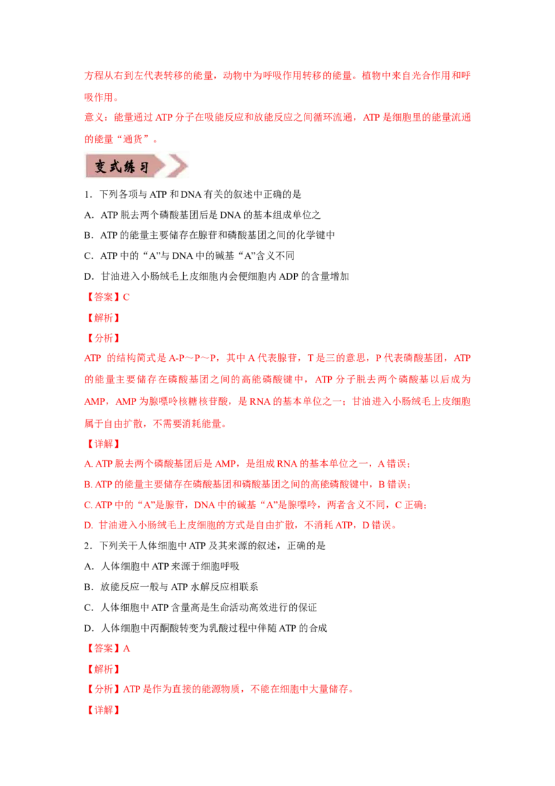 易错点03细胞的代谢1（酶、ATP、渗透实验）-2021年高考生物一轮复习易错题（教师版含解析）_新高考复习资料_2023年新高考复习资料_一轮复习_2023年新高考大一轮复习讲义
