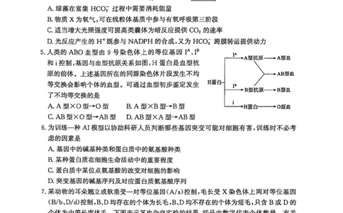 山东省滨州市2026届高三年级一模考试生物_2024-2026高三（6-6月题库）_2026年03月高三试卷_260315山东省滨州市2026届高三年级一模考试（滨州一模）（全科）