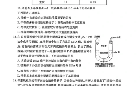 山东省滨州市2026届高三年级一模考试生物_2024-2026高三（6-6月题库）_2026年03月高三试卷_260315山东省滨州市2026届高三年级一模考试（滨州一模）（全科）