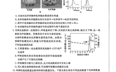 山东省滨州市2026届高三年级一模考试生物_2024-2026高三（6-6月题库）_2026年03月高三试卷_260315山东省滨州市2026届高三年级一模考试（滨州一模）（全科）