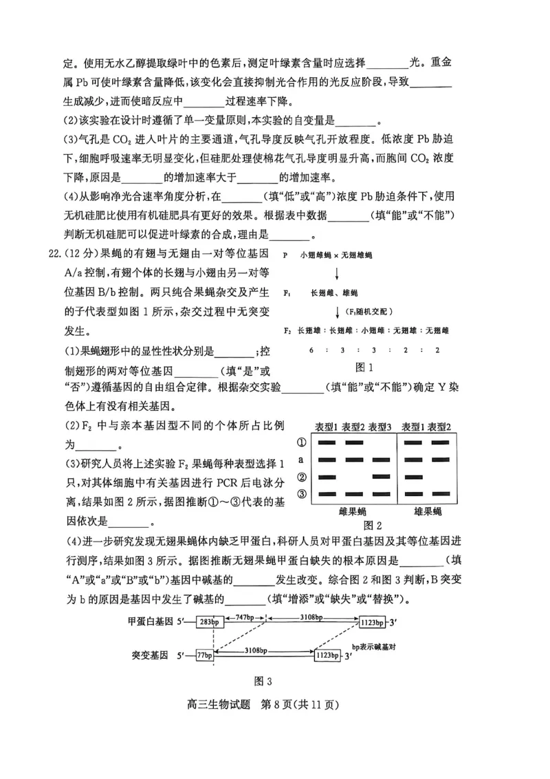 山东省滨州市2026届高三年级一模考试生物_2024-2026高三（6-6月题库）_2026年03月高三试卷_260315山东省滨州市2026届高三年级一模考试（滨州一模）（全科）