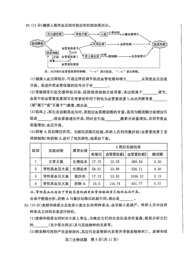 山东省滨州市2026届高三年级一模考试生物_2024-2026高三（6-6月题库）_2026年03月高三试卷_260315山东省滨州市2026届高三年级一模考试（滨州一模）（全科）