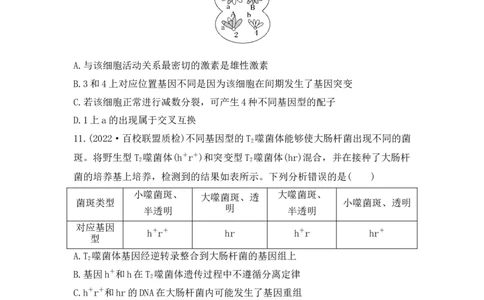 夯基提能练21基因突变和基因重组-备战2023高考生物一轮复习夯基提能练（全国通用）（解析版）_通用版（老高考）复习资料_2023年复习资料_一轮复习