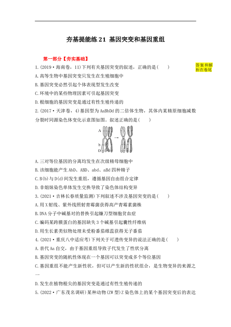 夯基提能练21基因突变和基因重组-备战2023高考生物一轮复习夯基提能练（全国通用）（解析版）_通用版（老高考）复习资料_2023年复习资料_一轮复习