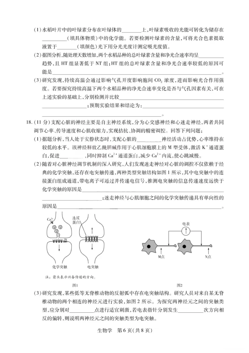 生物试题-2026山西高三小高考五(素质评价)_2024-2026高三（6-6月题库）_2026年04月高三试卷_260413山西2026届高三天一小高考五(素质评价)（全科）_生物