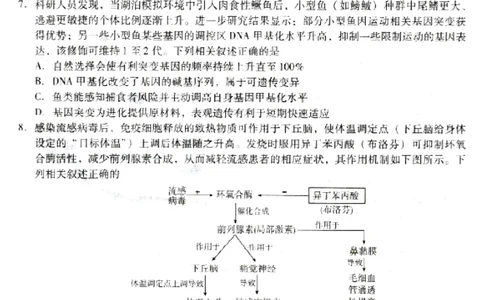 河北省琢名小渔名校联考2026届高三年级开学调研检测生物_2024-2026高三（6-6月题库）_2026年03月高三试卷_260310河北省琢名小渔名校联考2026届高三年级开学调研检测（全科）