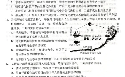 河北省琢名小渔名校联考2026届高三年级开学调研检测生物_2024-2026高三（6-6月题库）_2026年03月高三试卷_260310河北省琢名小渔名校联考2026届高三年级开学调研检测（全科）