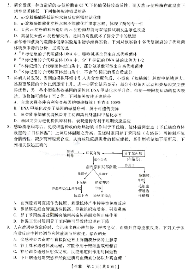 河北省琢名小渔名校联考2026届高三年级开学调研检测生物_2024-2026高三（6-6月题库）_2026年03月高三试卷_260310河北省琢名小渔名校联考2026届高三年级开学调研检测（全科）
