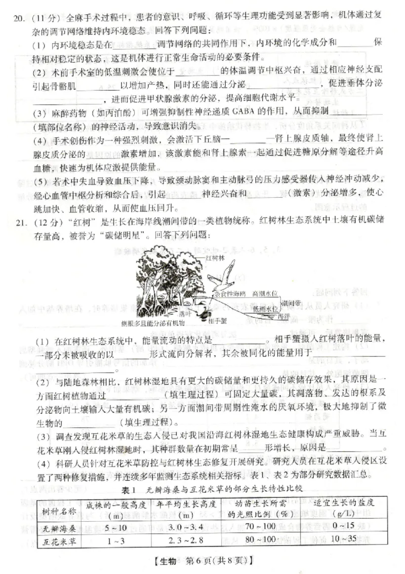 河北省琢名小渔名校联考2026届高三年级开学调研检测生物_2024-2026高三（6-6月题库）_2026年03月高三试卷_260310河北省琢名小渔名校联考2026届高三年级开学调研检测（全科）