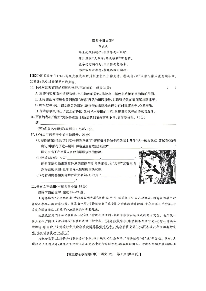 语文试题_2024-2026高三（6-6月题库）_2026年04月高三试卷_260408九师联盟2025-2026学年高三核心模拟卷中（六）（全科）_九师联盟2025-2026学年高三核心模拟卷中（六）语文