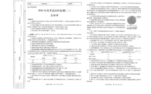 生物试题卷(A3版)_2024-2026高三（6-6月题库）_2026年03月高三试卷_260320陕西省2026年高考适应性检测（二）（陕西二模）(全科）