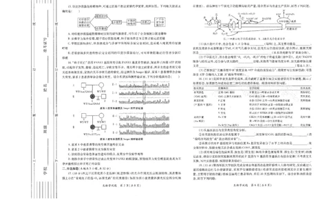 生物试题卷(A3版)_2024-2026高三（6-6月题库）_2026年03月高三试卷_260320陕西省2026年高考适应性检测（二）（陕西二模）(全科）