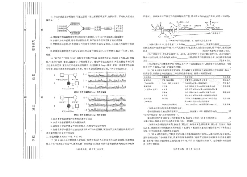 生物试题卷(A3版)_2024-2026高三（6-6月题库）_2026年03月高三试卷_260320陕西省2026年高考适应性检测（二）（陕西二模）(全科）