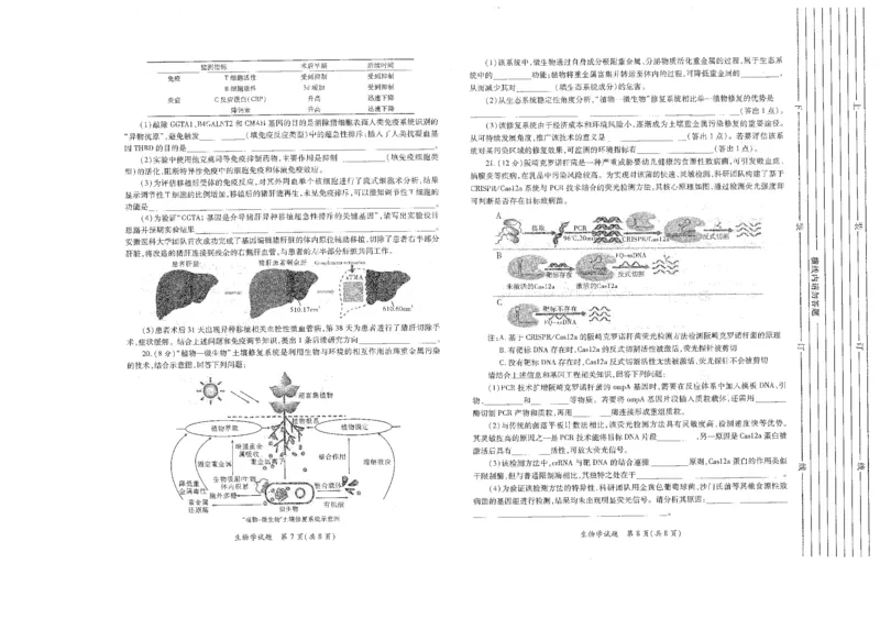 生物试题卷(A3版)_2024-2026高三（6-6月题库）_2026年03月高三试卷_260320陕西省2026年高考适应性检测（二）（陕西二模）(全科）
