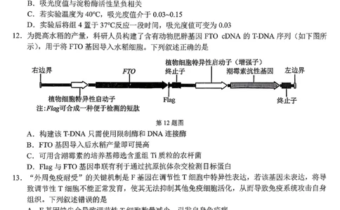 2603浙江省宁波十校高三联考生物试卷_2024-2026高三（6-6月题库）_2026年03月高三试卷_260321浙江省宁波十校2026届高三3月联考（全科）_2026届浙江宁波十校高三下学期二模生物试题+答案