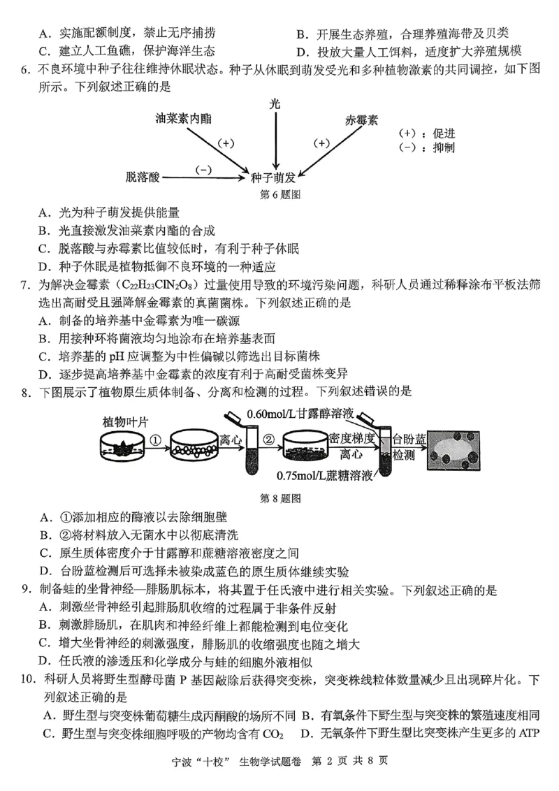 2603浙江省宁波十校高三联考生物试卷_2024-2026高三（6-6月题库）_2026年03月高三试卷_260321浙江省宁波十校2026届高三3月联考（全科）_2026届浙江宁波十校高三下学期二模生物试题+答案