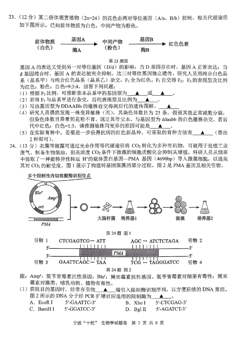 2603浙江省宁波十校高三联考生物试卷_2024-2026高三（6-6月题库）_2026年03月高三试卷_260321浙江省宁波十校2026届高三3月联考（全科）_2026届浙江宁波十校高三下学期二模生物试题+答案
