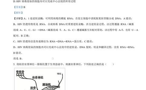 精品解析：黑龙江省实验中学2026届下学期高三联合模拟考试生物试题（解析版）_2024-2026高三（6-6月题库）_2026年03月高三试卷_黑龙江省实验中学2026届高三学年3月联合模拟考试生物试题