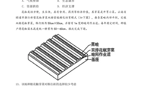 日照市第一中学2025-2026学年高三下学期3月份单元质量检测地理_2024-2026高三（6-6月题库）_2026年04月高三试卷