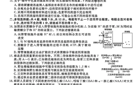 江苏省九校2026届高三下学期3月联考生物+答案_2024-2026高三（6-6月题库）_2026年03月高三试卷