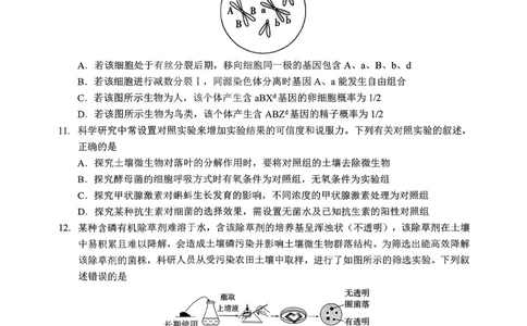孝感市楚天协作体高三下学期3月联考生物_2024-2026高三（6-6月题库）_2026年03月高三试卷_260322湖北省孝感市楚天协作体高三下学期3月联考（全科）