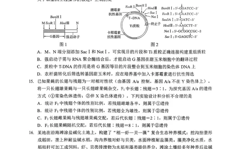 孝感市楚天协作体高三下学期3月联考生物_2024-2026高三（6-6月题库）_2026年03月高三试卷_260322湖北省孝感市楚天协作体高三下学期3月联考（全科）