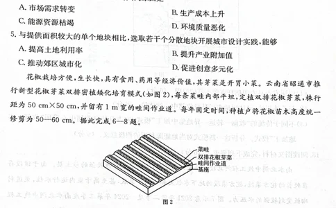 地理地理_2024-2026高三（6-6月题库）_2026年03月高三试卷_2603162026届金太阳高三3月全国百万联考313C（全科）_金太阳2026届高三联考313C地理试题（含答案）