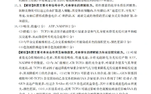 四川省2026届高三下学期3月联考（26-157C）生物答案_2024-2026高三（6-6月题库）_2026年03月高三试卷_260320四川省2026届高三下学期3月联考（26-157C）（全科）