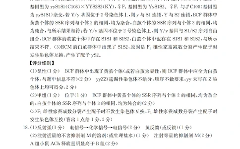 四川省2026届高三下学期3月联考（26-157C）生物答案_2024-2026高三（6-6月题库）_2026年03月高三试卷_260320四川省2026届高三下学期3月联考（26-157C）（全科）