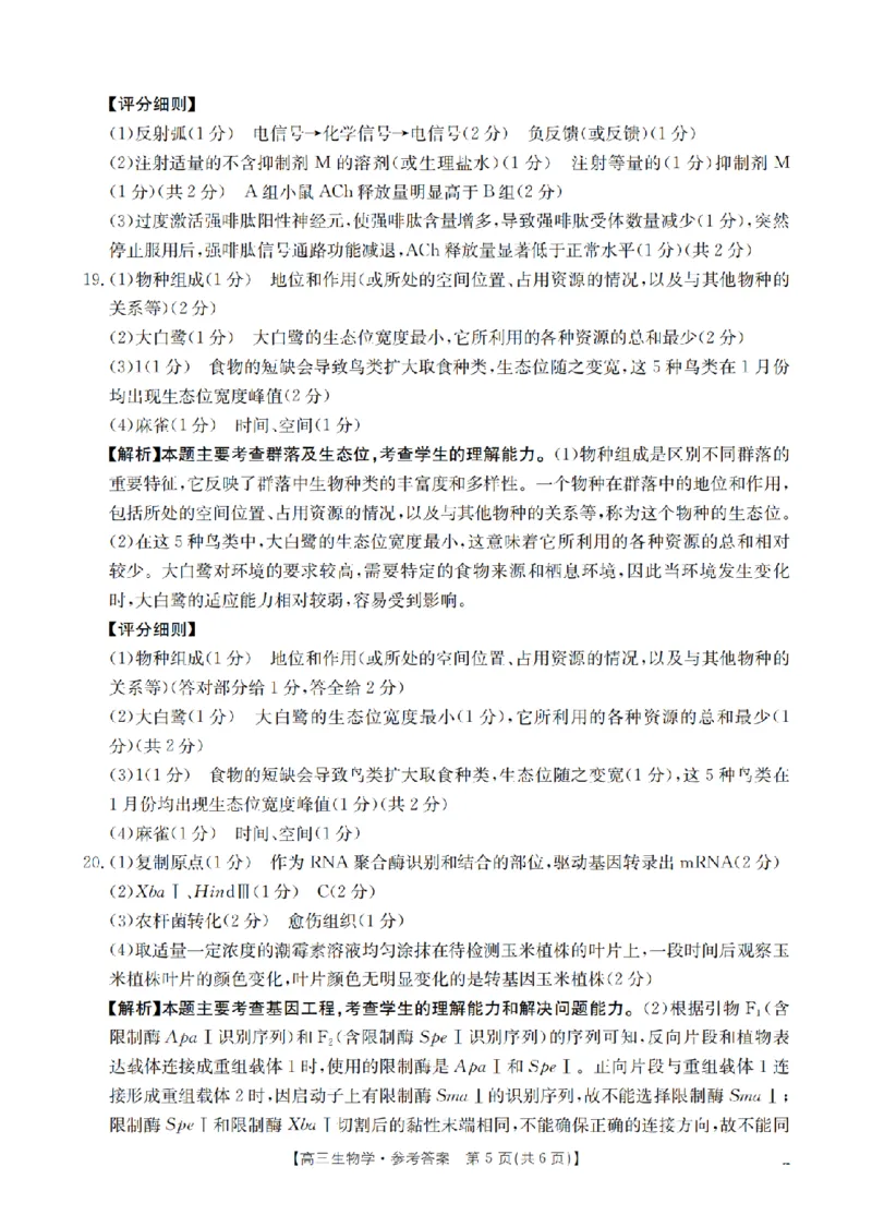 四川省2026届高三下学期3月联考（26-157C）生物答案_2024-2026高三（6-6月题库）_2026年03月高三试卷_260320四川省2026届高三下学期3月联考（26-157C）（全科）
