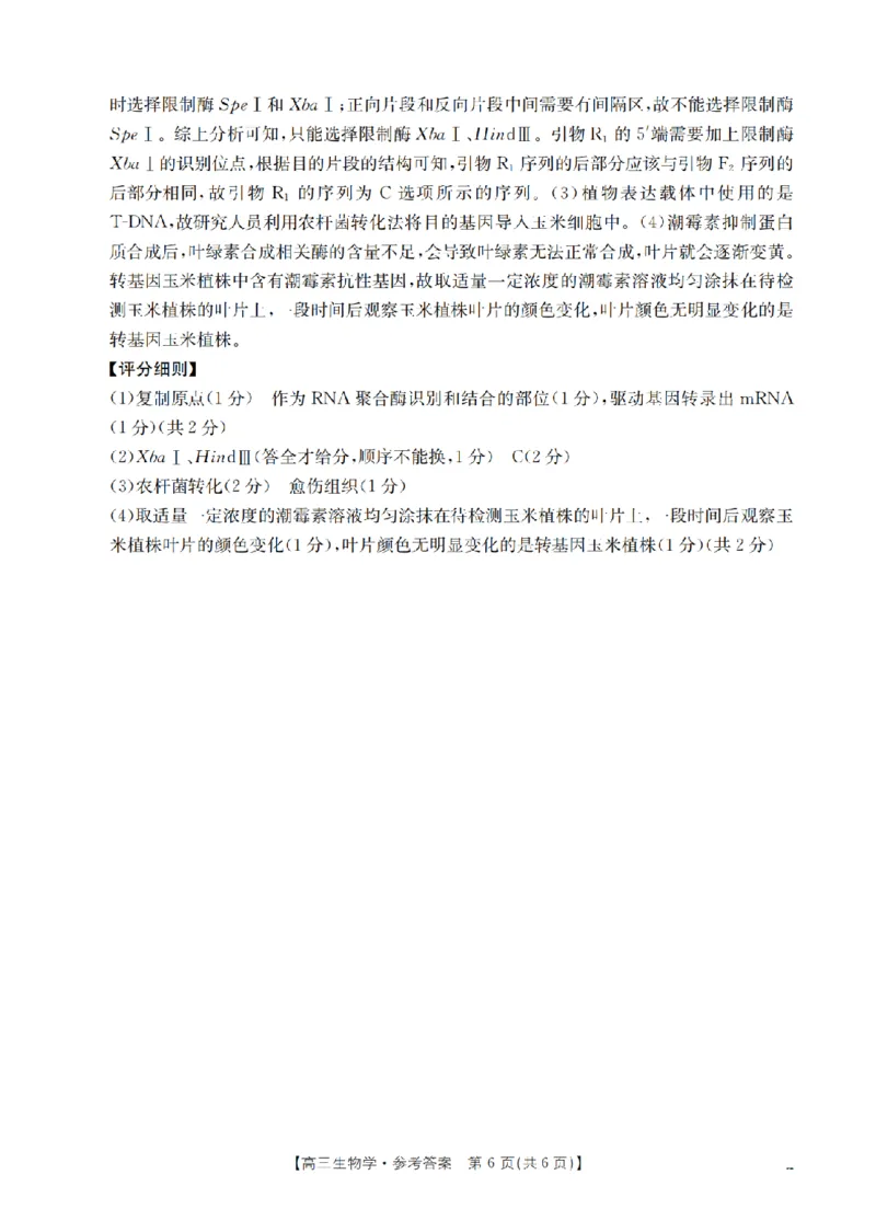 四川省2026届高三下学期3月联考（26-157C）生物答案_2024-2026高三（6-6月题库）_2026年03月高三试卷_260320四川省2026届高三下学期3月联考（26-157C）（全科）