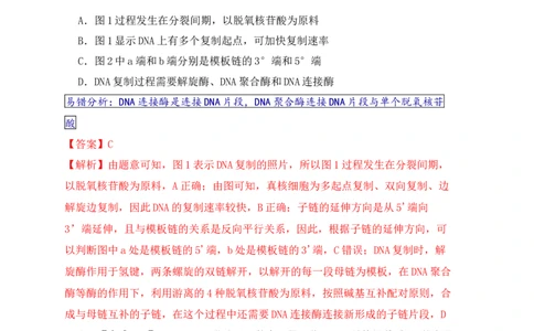 易错点09基因表达的&ldquo;三个&rdquo;理解误区（解析版）_新高考复习资料_2024年新高考复习资料_❤专项复习资料_完备战2024年高考生物考试易错题（新高考专用）_教师版（含答案解析）