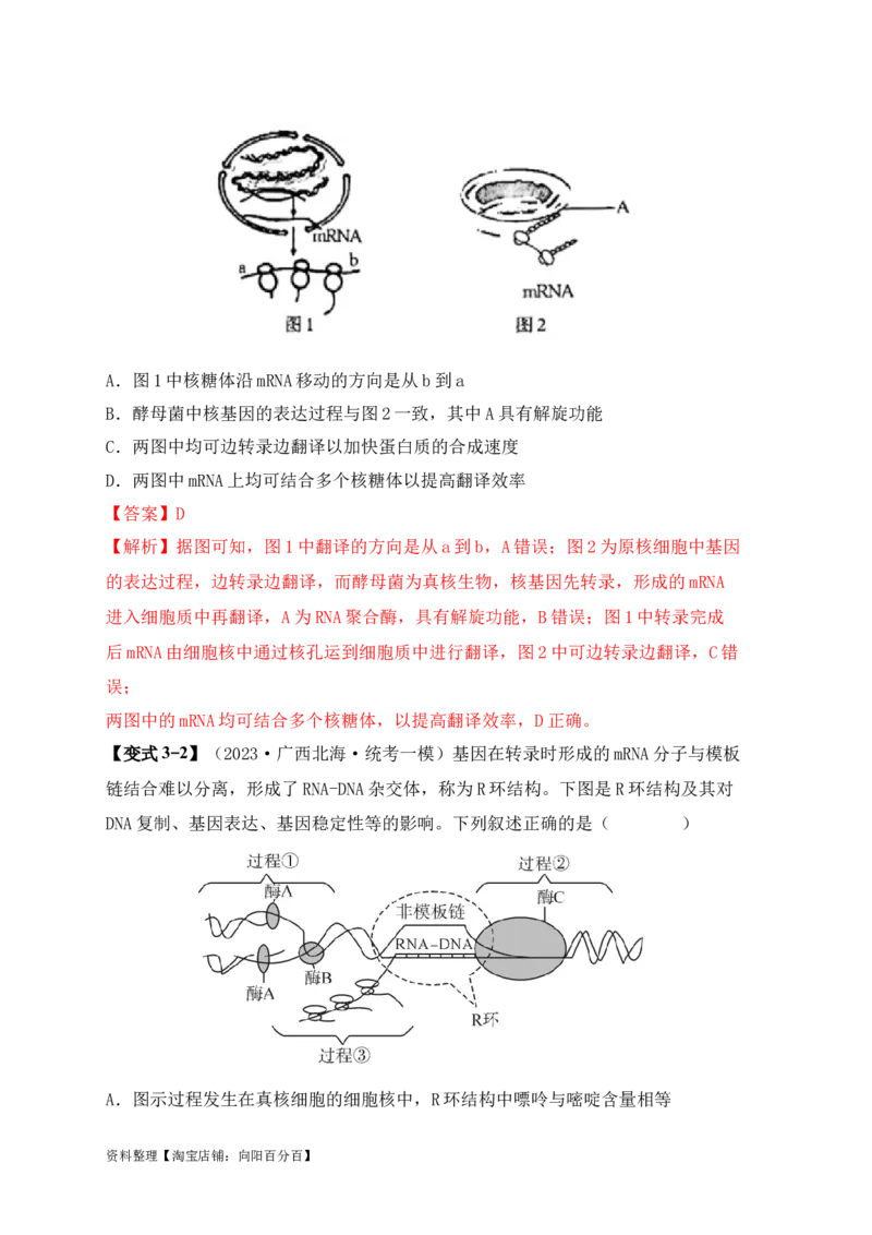 易错点09基因表达的&ldquo;三个&rdquo;理解误区（解析版）_新高考复习资料_2024年新高考复习资料_❤专项复习资料_完备战2024年高考生物考试易错题（新高考专用）_教师版（含答案解析）