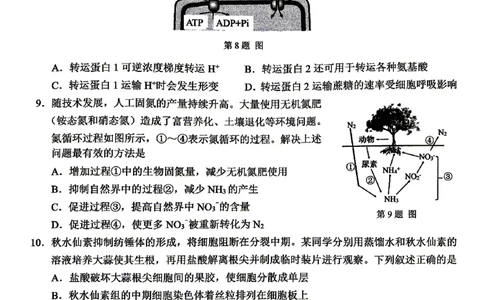 生物试题_2024-2026高三（6-6月题库）_2026年04月高三试卷_260412浙江省温州市2026届温州市普通高中高三年级第二次适应性考试（全科）