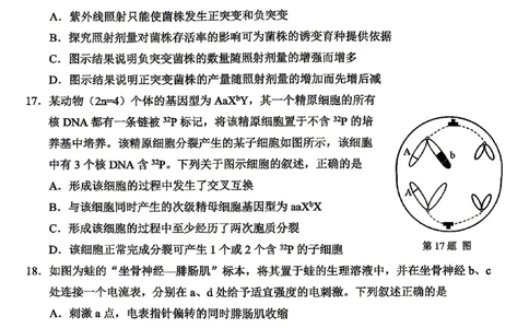 生物试题_2024-2026高三（6-6月题库）_2026年04月高三试卷_260412浙江省温州市2026届温州市普通高中高三年级第二次适应性考试（全科）
